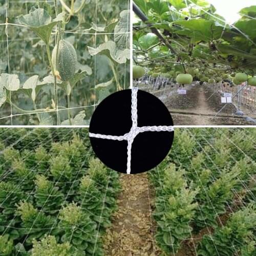 Garden Accessories Plant Trellis Netting Cucumber Vine Grow Holder New Mesh 2.7/5/10m lant Support Vine Climbing Net