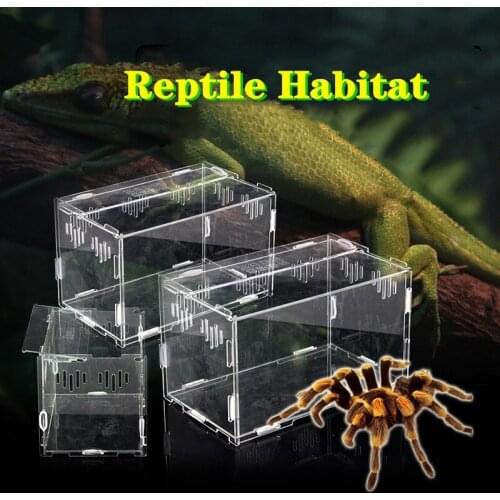 Reptile Breeding Box Acrylic Spider Lizard Micro Habitats Reptile Detachable Terrarium Vivarium Tank