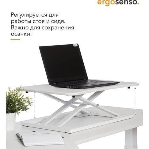 ERGOSENSO Car Holders