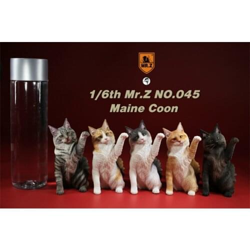 Mr.Z Studio 1:6 Maine Coon Cat Pet Figure Kitty Felidae Animal Model Toy Decor Kid Gift Realistic Simulation Unisex Birthday