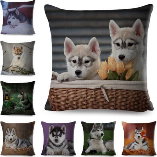 Cute Dog Printed Cushion Cover for Sofa Home Car Decor Pet Animal Siberian Husky Pillowcase Linen 45*45cm Pillow Case Covers