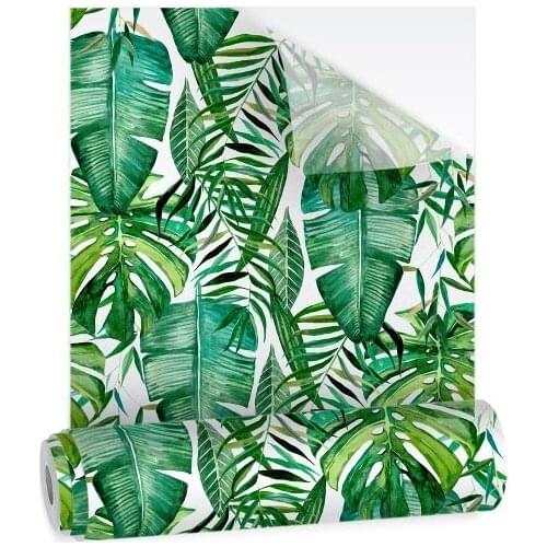 RAV0039 foils adhesive window film 120x200 cm transparent-washable scratch decoration shower cabin windows Office