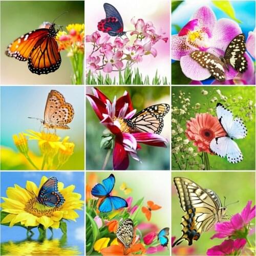 HUACAN Diamond Painting Full Drill Animal Butterfly Embroidery Mosaic Flowers Cross Stitch Home Decoration Diamond Art