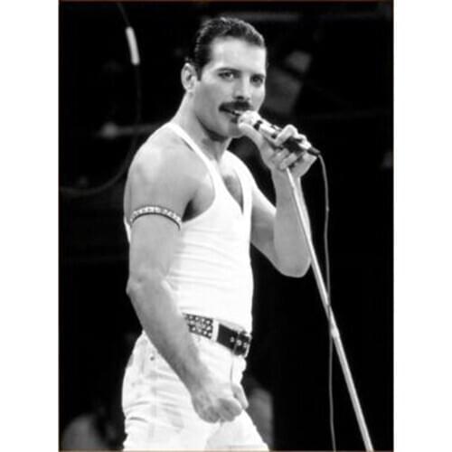 Hot new 5D DIY Diamond Painting Full Square singer rocker Diamond Embroidery Cross Stitch Rhinestones Pictures Mosaic Decor home