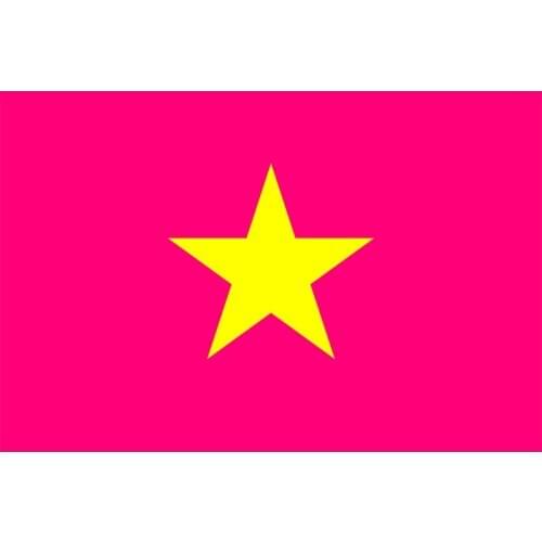 Yehoy hanging 90*150cm Vietnam Bisexual Pride Flag For Decoration