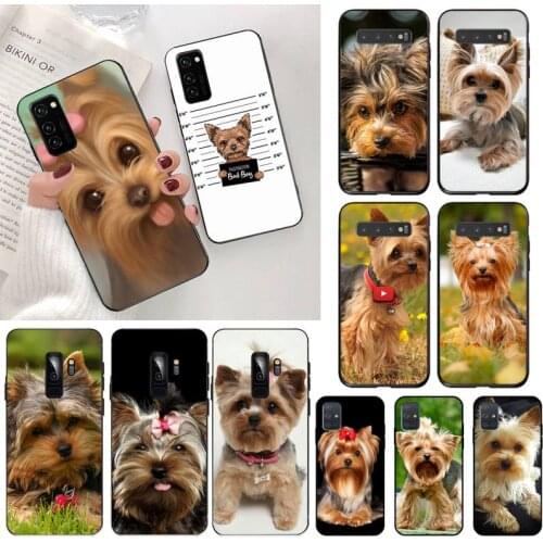 Yorkshire Terrier Dog Phone Case For Samsung Galaxy S21 Plus Ultra S20 FE M11 S8 S9 plus S10 5G lite 2020