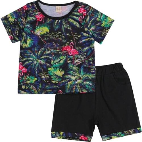 OPPERIAYA Kids Short Sleeve Round Neck T-shirts Shorts Flamingo Coconut Tree Print Sports Casual Style Summer Beach Clothing
