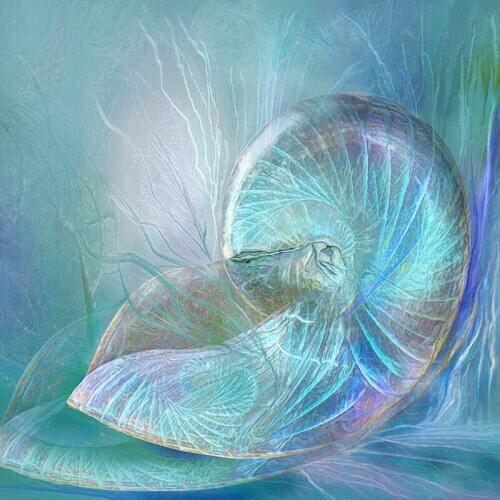 Diy Diamond painting full square round drill 5d accessories Snail shell art mosaic Diamond embroidery sale cross stitchZP-2286