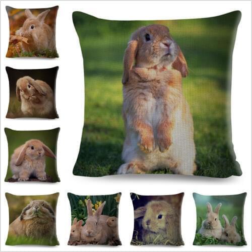 Cute Rabbit White Bunny Cushion Cover for Sofa Car Home Decor Pet Animal Hare Pillow Case Polyester 45x45CM Pillowcase