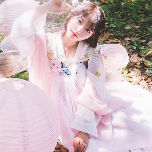 New Chinese Dance Costumes Pink Hanfu Fairy Dress Chinese Folk Dance Costumes Chinese Traditional National Costumes SL1266