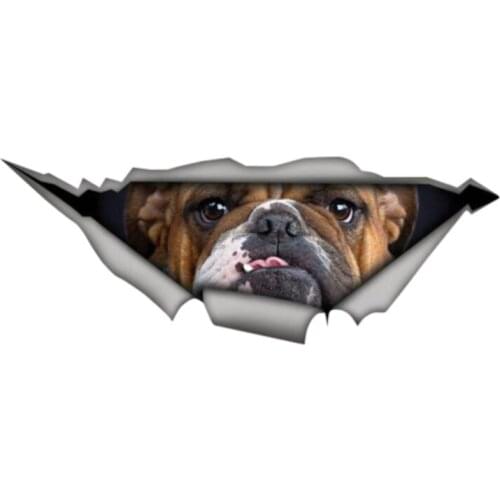 Personality Car Sticker Bulldog Wild Animal Auto Accessories Car Window Cover Scratches Waterproof PVC Apply To Car Window