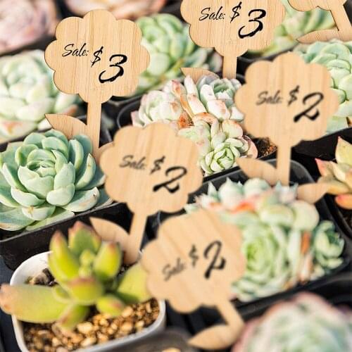 T-Type Bamboo Plant Labels Small Eco-Friendly Wooden Plant Sign Tags Renewable Garden Markers for Potted Herbs Flowers Tools 8