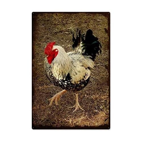 Vintage Metal Tin Sign Black White Rooster Red Comb Outdoor & Home Bar Street Wall Decor Signs 12X8Inch
