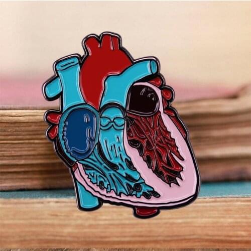 Anatomical Heart Art Badge Colorful Illustration Style Human Organ Pin Great for any medical professional or science lover