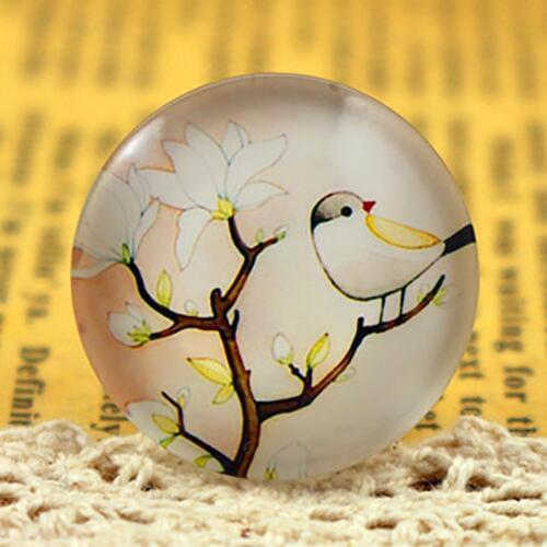 New Fashion 5pcs/Lot 25mm Handmade Photo Glass Cabochons (F4-10)