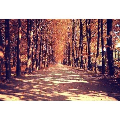 Forest fairy girl photography background vinyl fotografia scenery funds photo backdrops for photo studio kits photophone lv-801