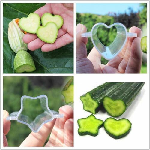Plastic Heart/Star/Love Fruit Shaping Mould Cucumber Growth Forming Mold Vegetable Growing Mold Transparent Garden Nursery Pot