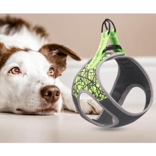 70% Dropshipping!!Pet Cat Dog Puppy Adjustable Buckle Chest Straps Walking Harness Traction Rope