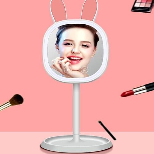 LED Cosmetic Mirror With Storage Cartoon Induction Lighting Vanity Mirror USB Rechargeable Double-sided Cosmetic Mirror