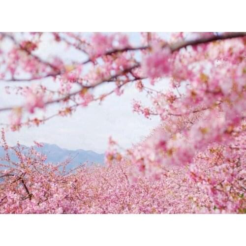 Diy Diamond Painting Cherry Blossom Landscape Painting Simple Handmade Diamond Round Diamond Square Diamond Home Decoration