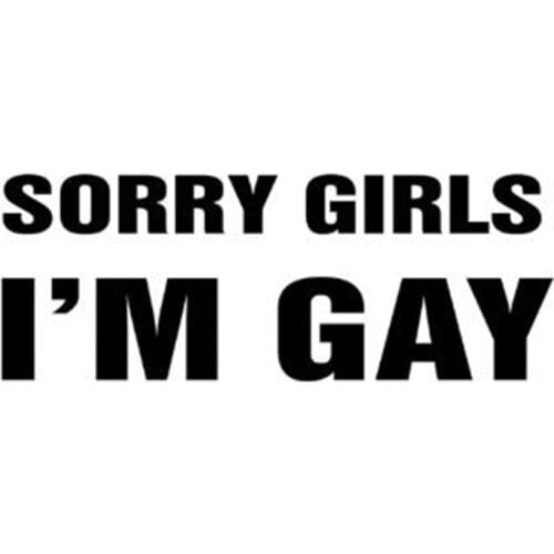 Black/Sliver Funny Sorry Girls I'm Gay Vinyl Car-styling Decal Car Sticker C039