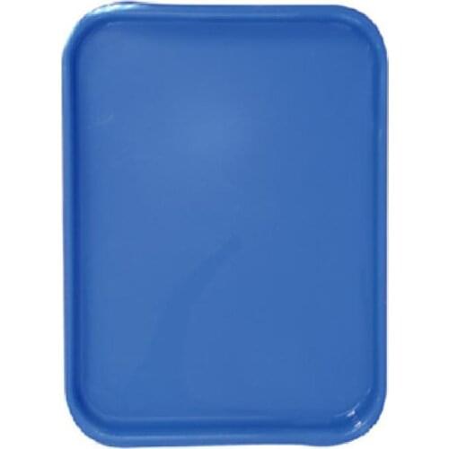 Dental Flat Trays Plates Supplies Instruments Equipments Tools Container Autoclavable Plastic Dentistry Sterilization organizer