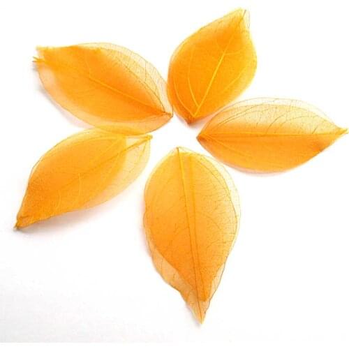 100pcs orange color Natural skeleton leaves for DIY 3-7cm Natural Diamond Leaf Vein Dried Nail Art Flowers Material