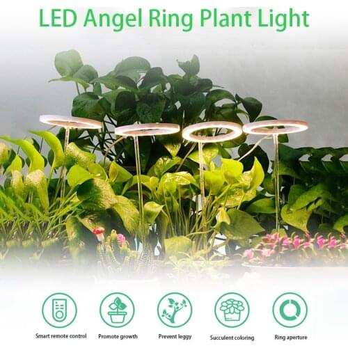 AliexLED LED Plant Lamps