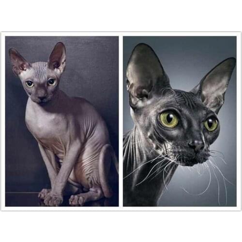 5d Diy Diamond Painting Momoart Sphinx Cat Diamond Inlaid Art Diamond Embroidery Cross Stitch Kit Animal Home Decoration