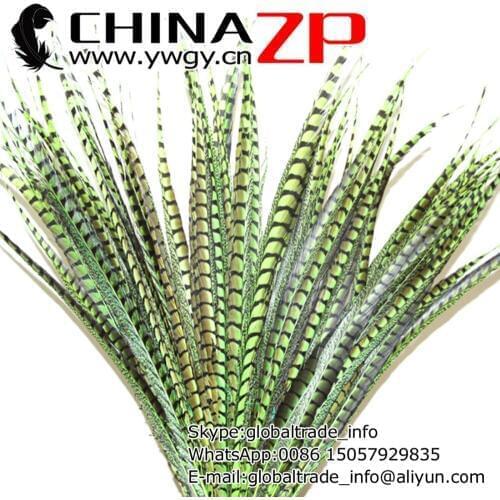 CHINAZP Factory 50pcs/lot Size from 75~87cm(30~35inch) Unique Dyed Lime Green Long Lady Amherst Pheasant Tail Feathers