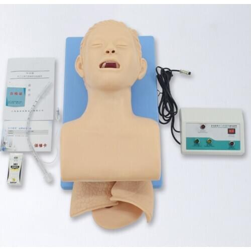 Intubation dummy study teaching model Airway management PVC trainer with teeth Adult first aid training tudy teaching model