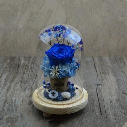 4sets/pack 9*18cm Three Legs Log Base Glass Dome Home Decoration Diameter=9cm Height=18cm Glass Dome Friend Favor Gift Wedding