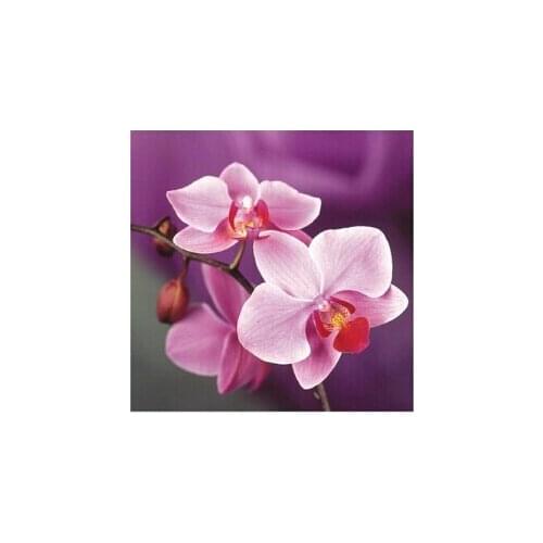 Cuadros Home Decor wall art flowers pictures Diy diamond paintings drill rhinestone cross stitch Diamond embroidery mosaic Y461