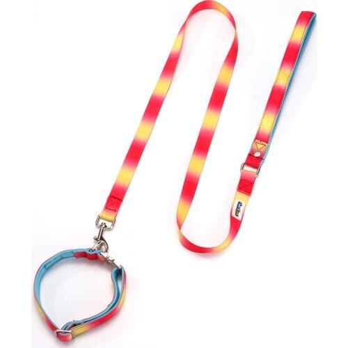 Flat Belt Dog Harness Breathable Adjustable Harness 1.2m Leash for Puppy Dog Small and Medium Size