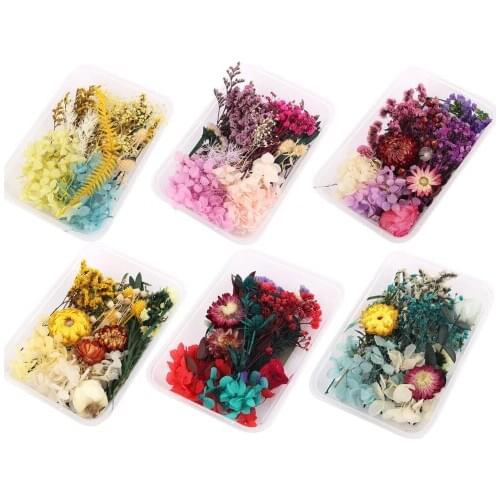 DIY Dried Flowers Resin Mold Fillings UV Expoxy Flower for Nail Art Pressed Flowers for Home Decor Handicraft