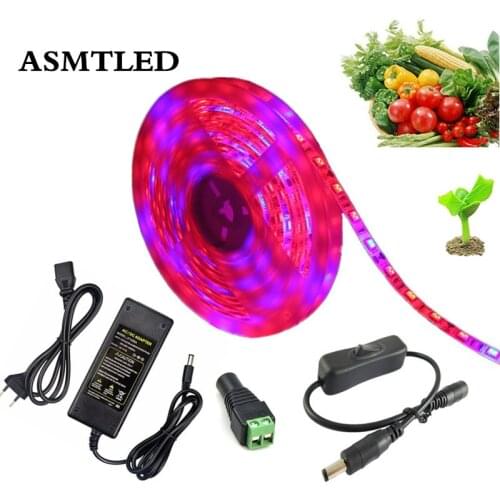 5050 LED Grow Lights Set Waterproof DC 12V Plant Growing LED Strip Tape Light with Power + Switch For Plant Aquarium Greenhouse