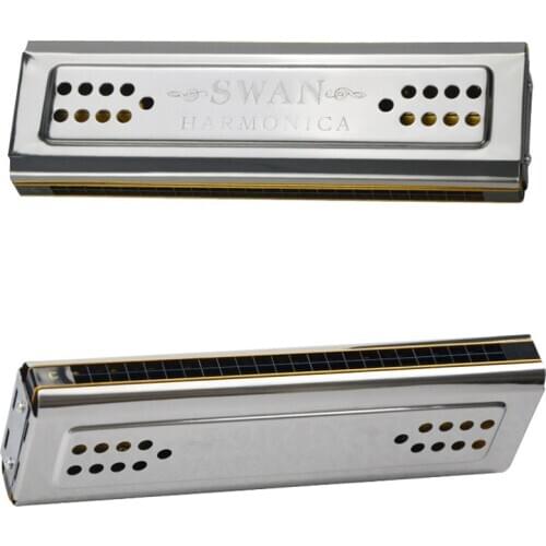 Both Sides Harmonica 24 Holes C And G Double Tones Harmonica Mouth Organ Woodwind Instruments