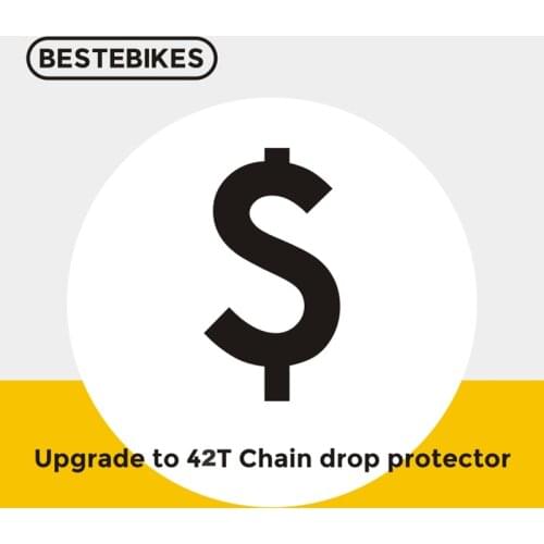 BAFANG Upgrade to BBSHD 42T Chain drop protector, it doesn't sell alone