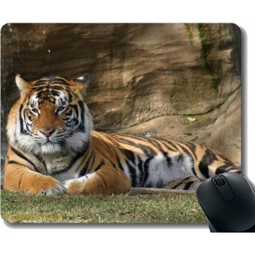 Mouse Pad With Locking Edge,Tiger Lying Grass Big Cat Predator 52905 Mouse Pads