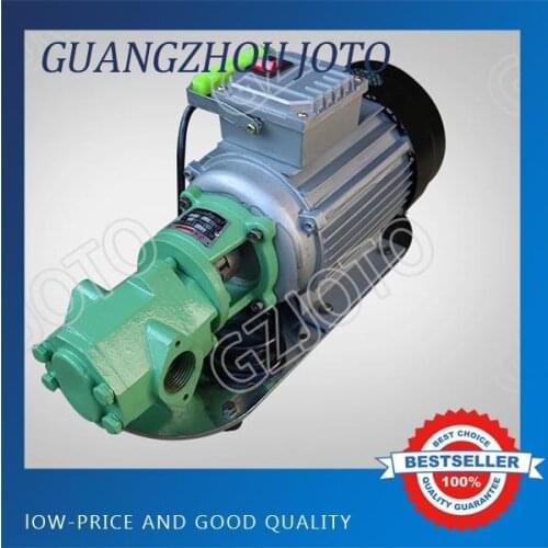 WCB-75 Portable Gear Oil Pump 220V/380V Fuel Oil Transfer Pump 750W