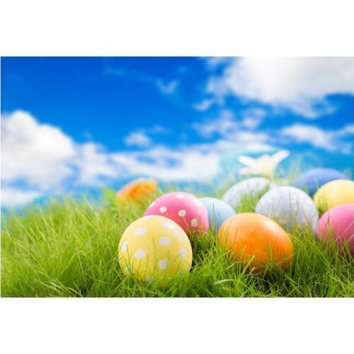 3x5ft Vinyl Photography Background Easter Eggs Grass Spring Blue Sky Backdrops Custom Newborn Children Baby photo studio Props