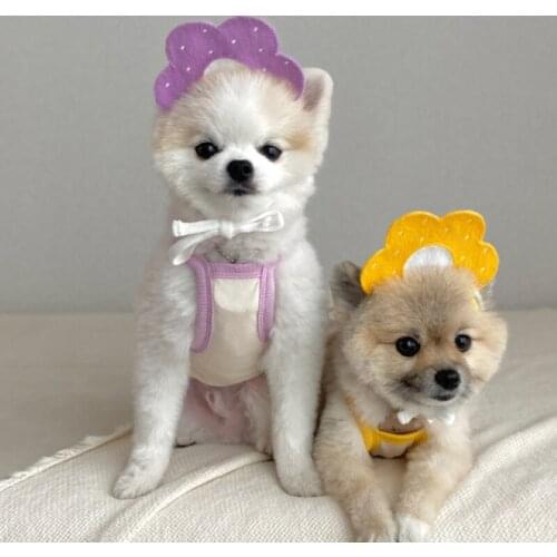 Clyine Dog Accessories