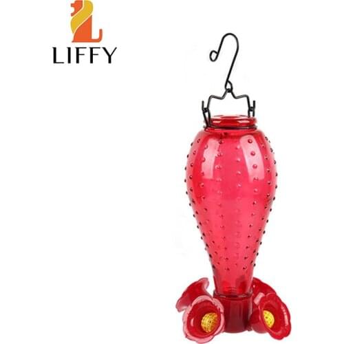 LIFFY Products For Birds