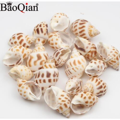 20Pcs 20-30mm Natural Conch Shells Dongfeng Conch Screw Wall Decoration DIY Aquarium Landscape Seashells Crafts Home Decor