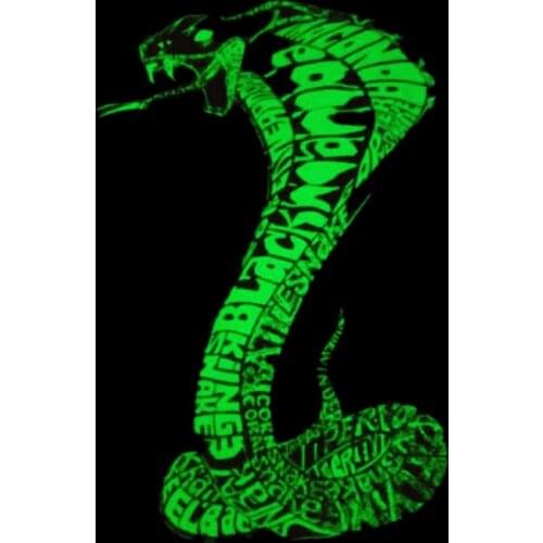 Animal Patches Noctilucent Snake Stickers for Clothes Thermal Transfer Printing Pattern DIY Decoration Letters Luminous Patch