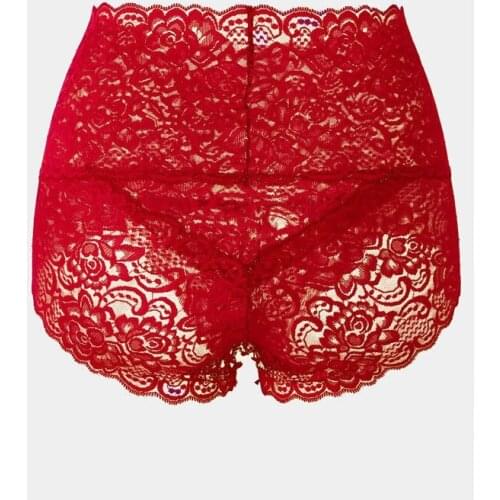 Women Soft Lace Hollow Out See-through Seamless Lingerie Briefs Underwear M-XXXL