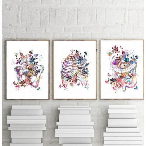 5d Diy diamond painting Anatomical Organ Human Anatomy square round diamond embroidery rhinestone painting diamond mosaic 3 pcs