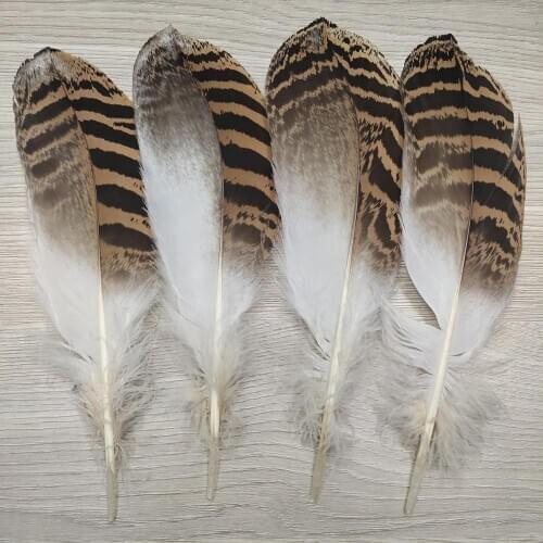 Wholesale 50pcs Beautiful 20-25cm/8-10inches Natural Pheasant Feathers For DIY Jewelry Craft Making Decoration