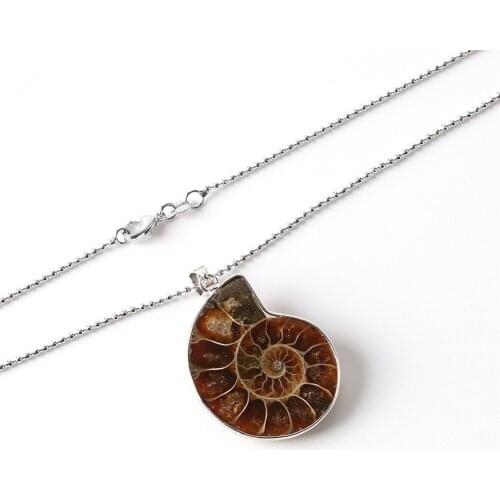 Wholesale New Style 6pcs/lots Natural Stones Men Pendants Ammonite Fossils Seashell Snail Ocean Reliquiae Conch Animal Necklace