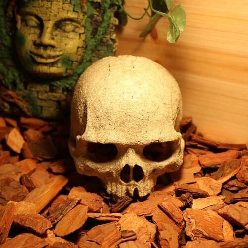 Resin Human Skull Skeleton Fish Tank Aquarium Ornament Terrarium Decorations Garden Statues personality Art Carving Statue Model